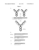 Dual Variable Domain Immunoglobulins and Uses Thereof diagram and image