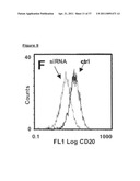 NOVEL ANTIBODY THERAPIES diagram and image