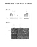 NOVEL ANTIBODY THERAPIES diagram and image