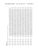 NOVEL VACCINE FOR DOG diagram and image