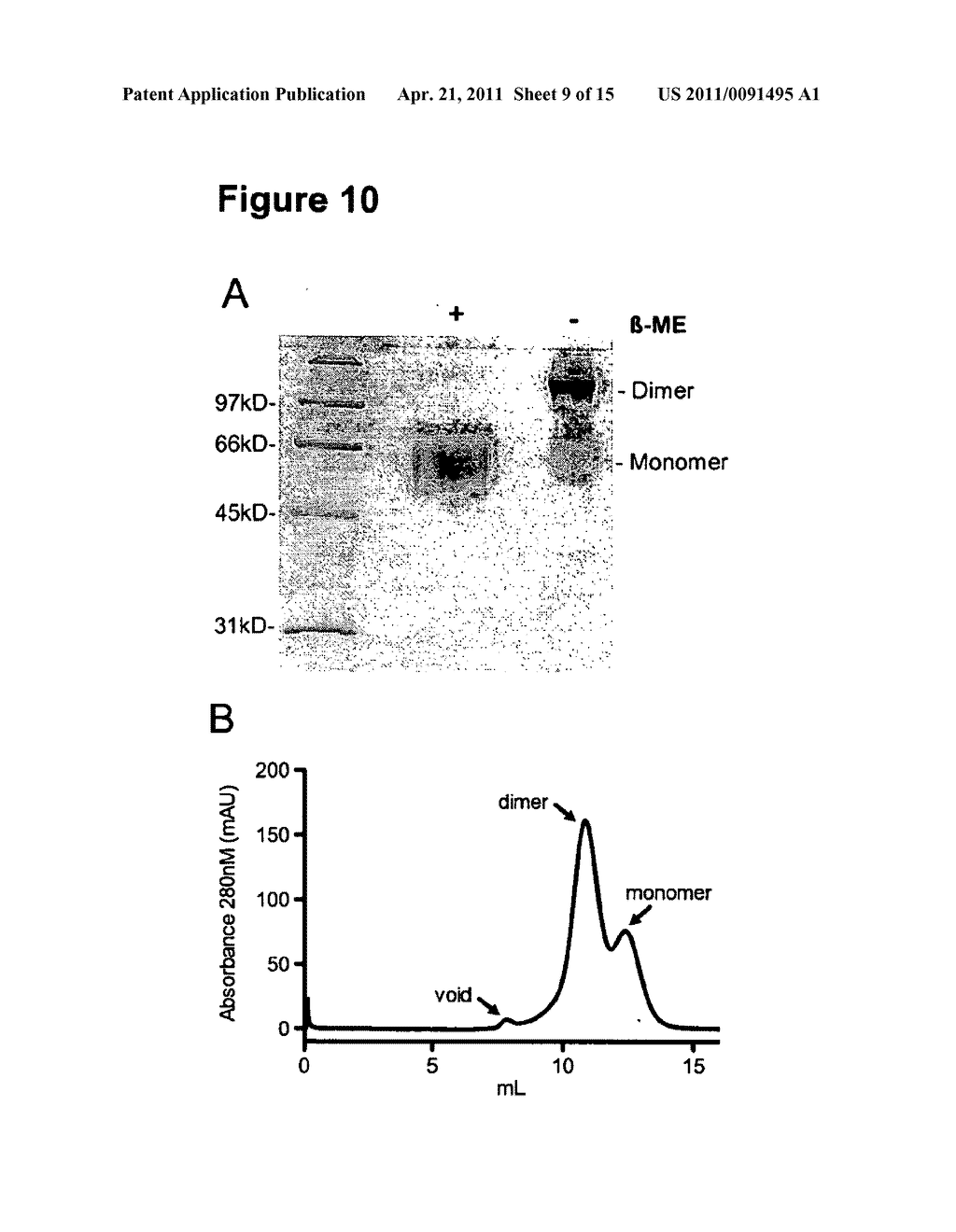 HCV E2 CONSTRUCT COMPOSITIONS AND METHODS - diagram, schematic, and image 10