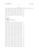 Recombinant Rhinovirus Vectors diagram and image