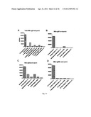 Recombinant Rhinovirus Vectors diagram and image