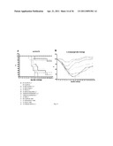 Recombinant Rhinovirus Vectors diagram and image