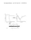 Recombinant Rhinovirus Vectors diagram and image