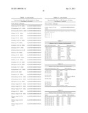 Recombinant Rhinovirus Vectors diagram and image