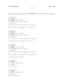 Recombinant Rhinovirus Vectors diagram and image