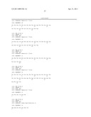 Recombinant Rhinovirus Vectors diagram and image