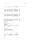 Recombinant Rhinovirus Vectors diagram and image