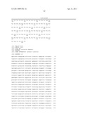 Recombinant Rhinovirus Vectors diagram and image