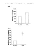 Methods for Promoting the Revascularization and Reenervation of CNS Lesions diagram and image