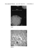 PERFLUORCARBON NANOEMULSIONS WITH ENDOCYTOSIS ENHANCING SURFACE FOR GENE-TRANSFER diagram and image