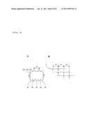 PLASTIC FILM STRETCHING APPARATUS diagram and image