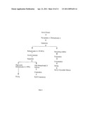 High-Purity Rebaudioside D And Low-Calorie Diet Cookies Containing The Same diagram and image