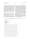 ZCYTOR19 POLYNUCLEOTIDES, POLYPEPTIDES, ANTIBODIES AND METHODS OF USE diagram and image