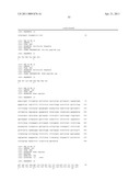 ZCYTOR19 POLYNUCLEOTIDES, POLYPEPTIDES, ANTIBODIES AND METHODS OF USE diagram and image