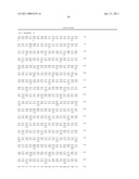 ZCYTOR19 POLYNUCLEOTIDES, POLYPEPTIDES, ANTIBODIES AND METHODS OF USE diagram and image