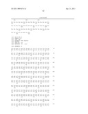 ZCYTOR19 POLYNUCLEOTIDES, POLYPEPTIDES, ANTIBODIES AND METHODS OF USE diagram and image