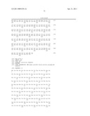 ZCYTOR19 POLYNUCLEOTIDES, POLYPEPTIDES, ANTIBODIES AND METHODS OF USE diagram and image