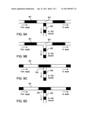 SYSTEMS AND METHODS FOR MINIMIZATION OR ELIMINATION OF DIFFUSION EFFECTS IN A MICROFLUIDIC SYSTEM diagram and image