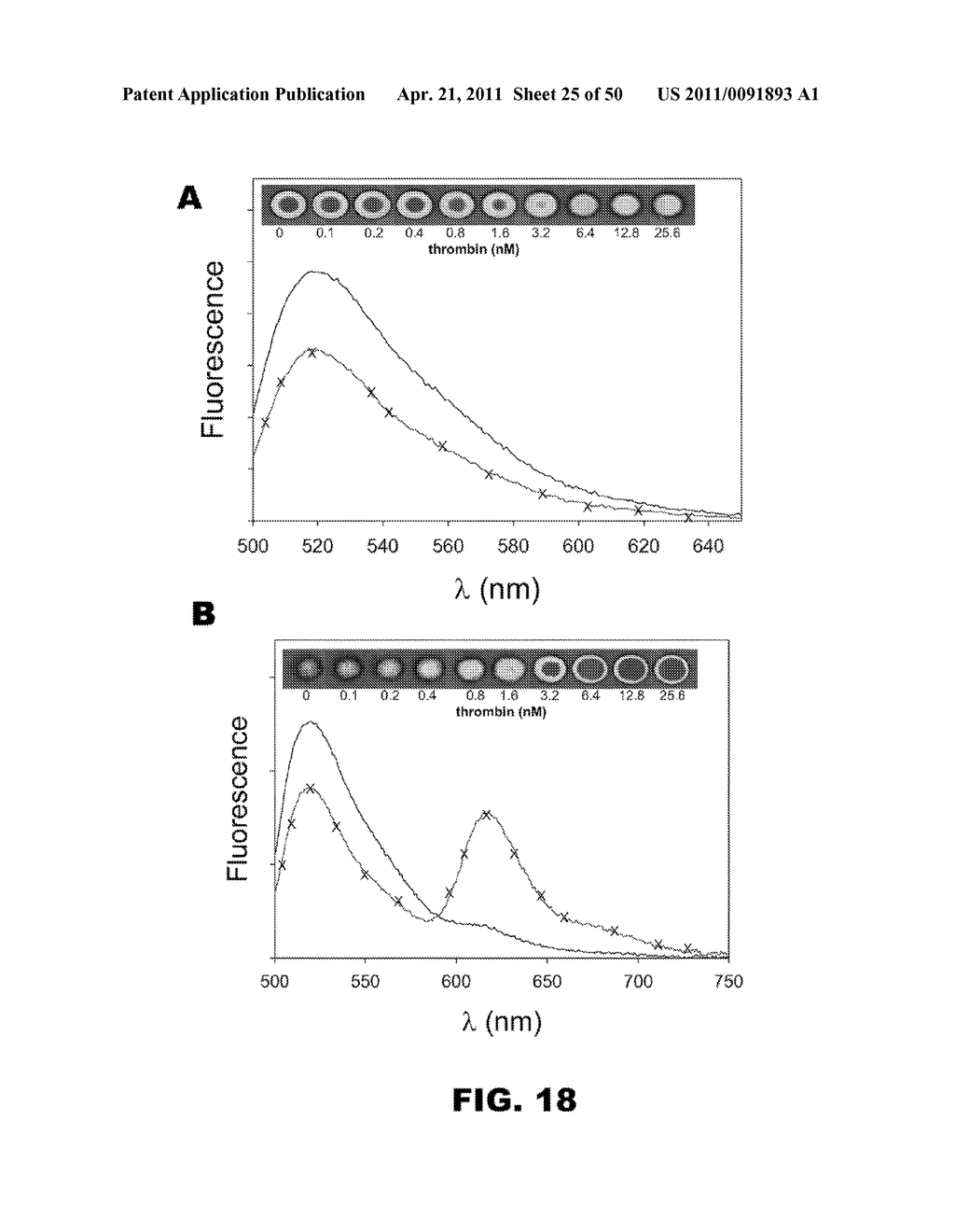 BIOSENSORS FOR DETECTING MACROMOLECULES AND OTHER ANALYTES - diagram, schematic, and image 26