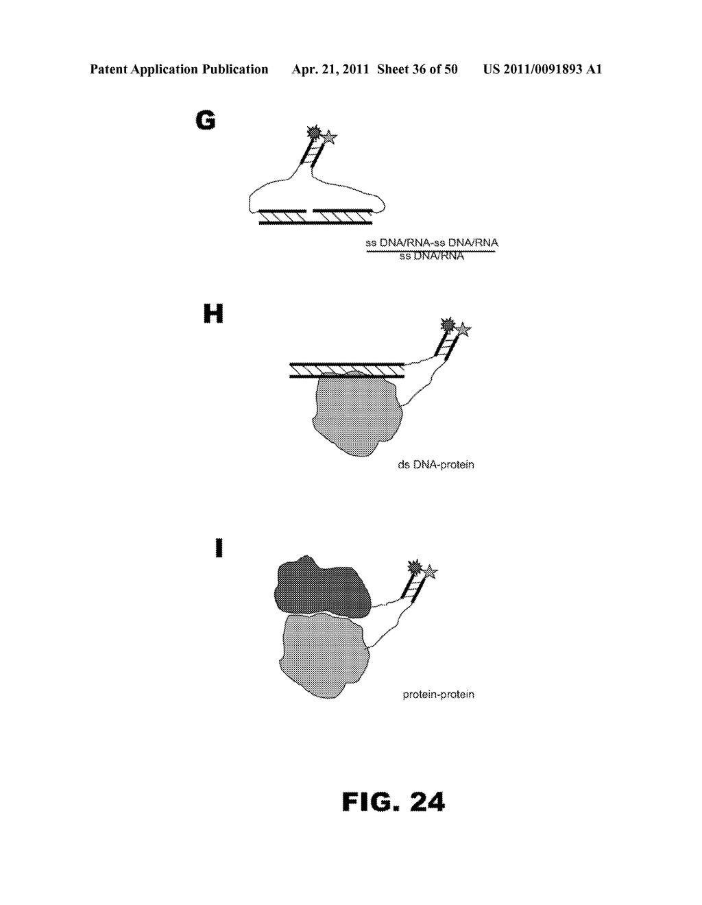 BIOSENSORS FOR DETECTING MACROMOLECULES AND OTHER ANALYTES - diagram, schematic, and image 37