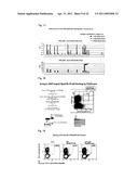 METHOD FOR ANALYSIS/IDENTIFICATION OF ANTIBODY GENE AT ONE-CELL LEVEL diagram and image