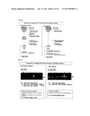 METHOD FOR ANALYSIS/IDENTIFICATION OF ANTIBODY GENE AT ONE-CELL LEVEL diagram and image