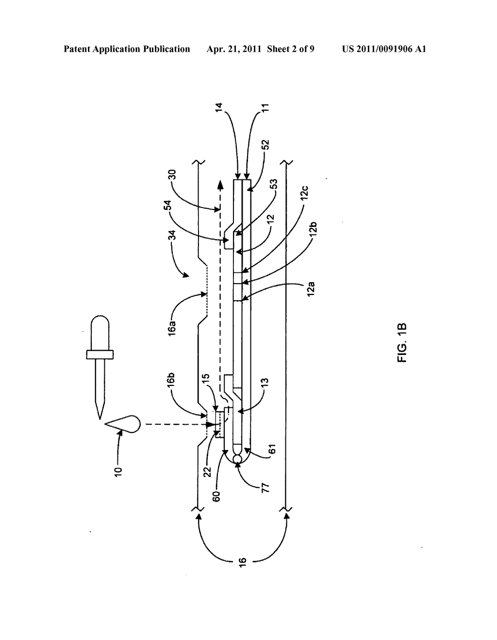 Immuno gold lateral flow assay - diagram, schematic, and image 03