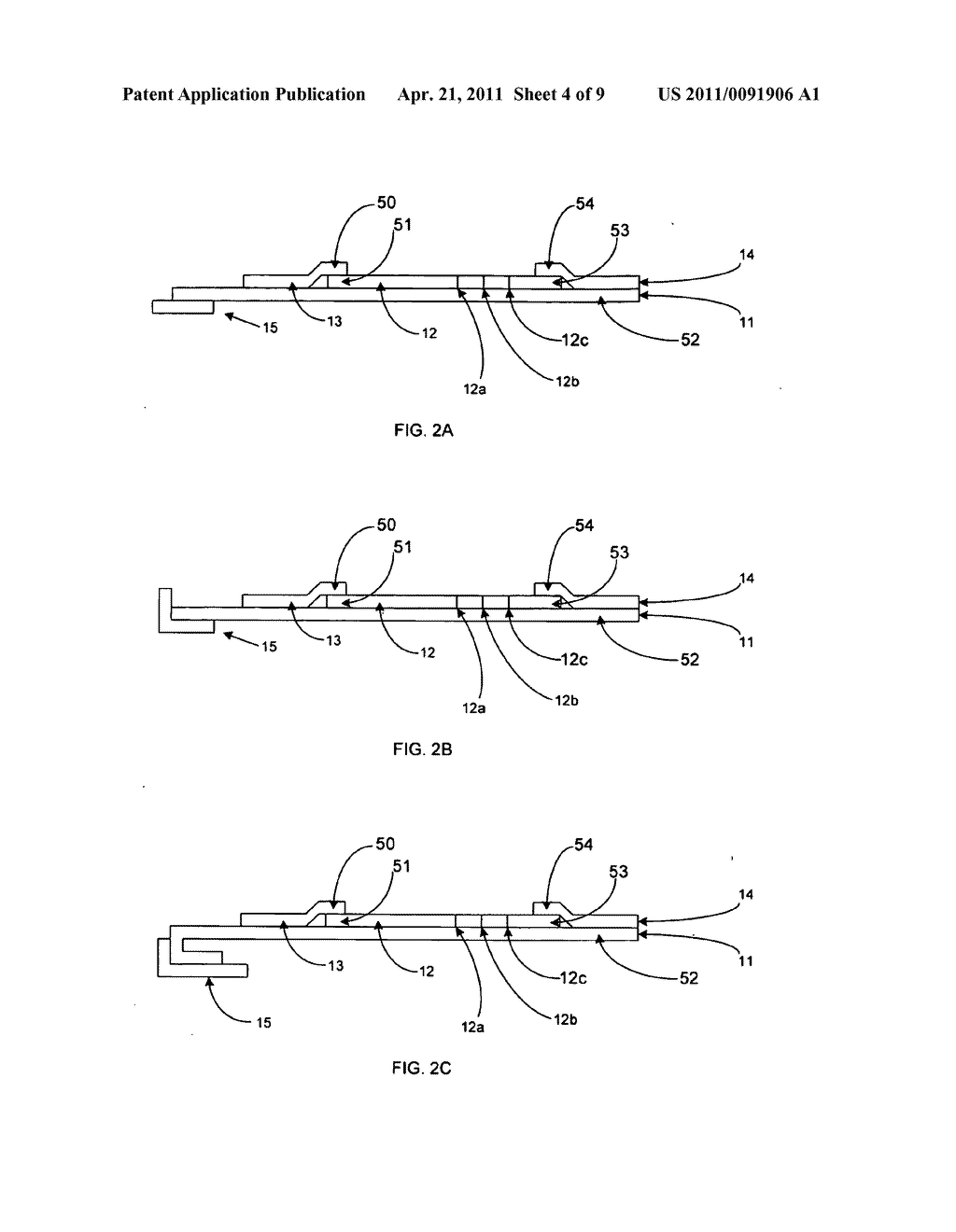 Immuno gold lateral flow assay - diagram, schematic, and image 05