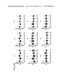 Method of evaluating cancer type diagram and image