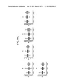 Method of evaluating cancer type diagram and image