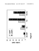 MOTOR NEURONS DEVELOPED FROM STEM CELLS diagram and image