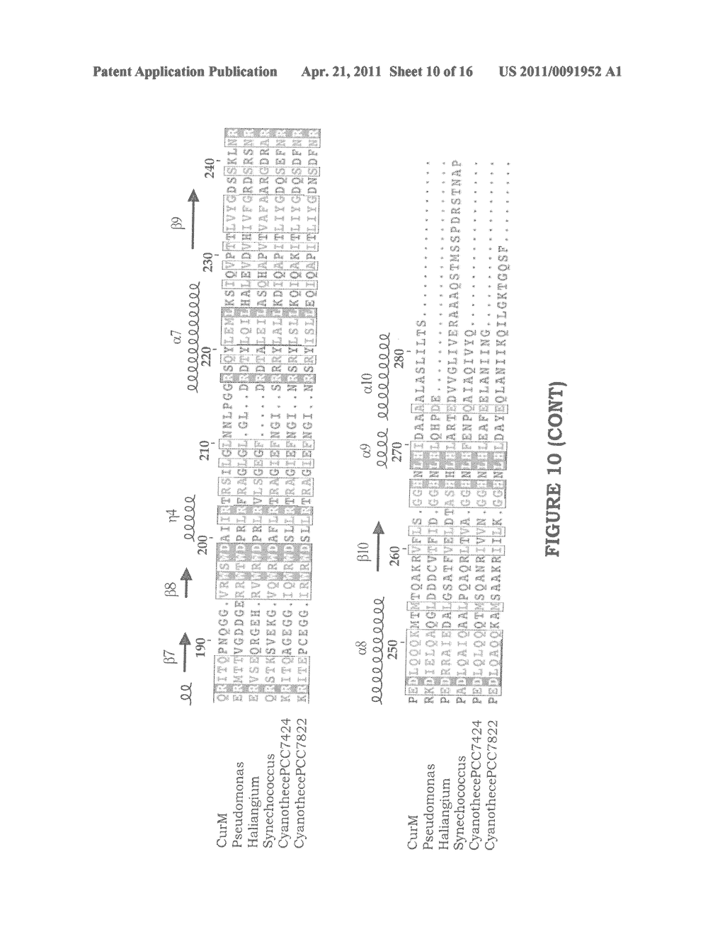 METHOD FOR ENZYMATIC PRODUCTION OF DECARBOXYLATED POLYKETIDES AND FATTY ACIDS - diagram, schematic, and image 11