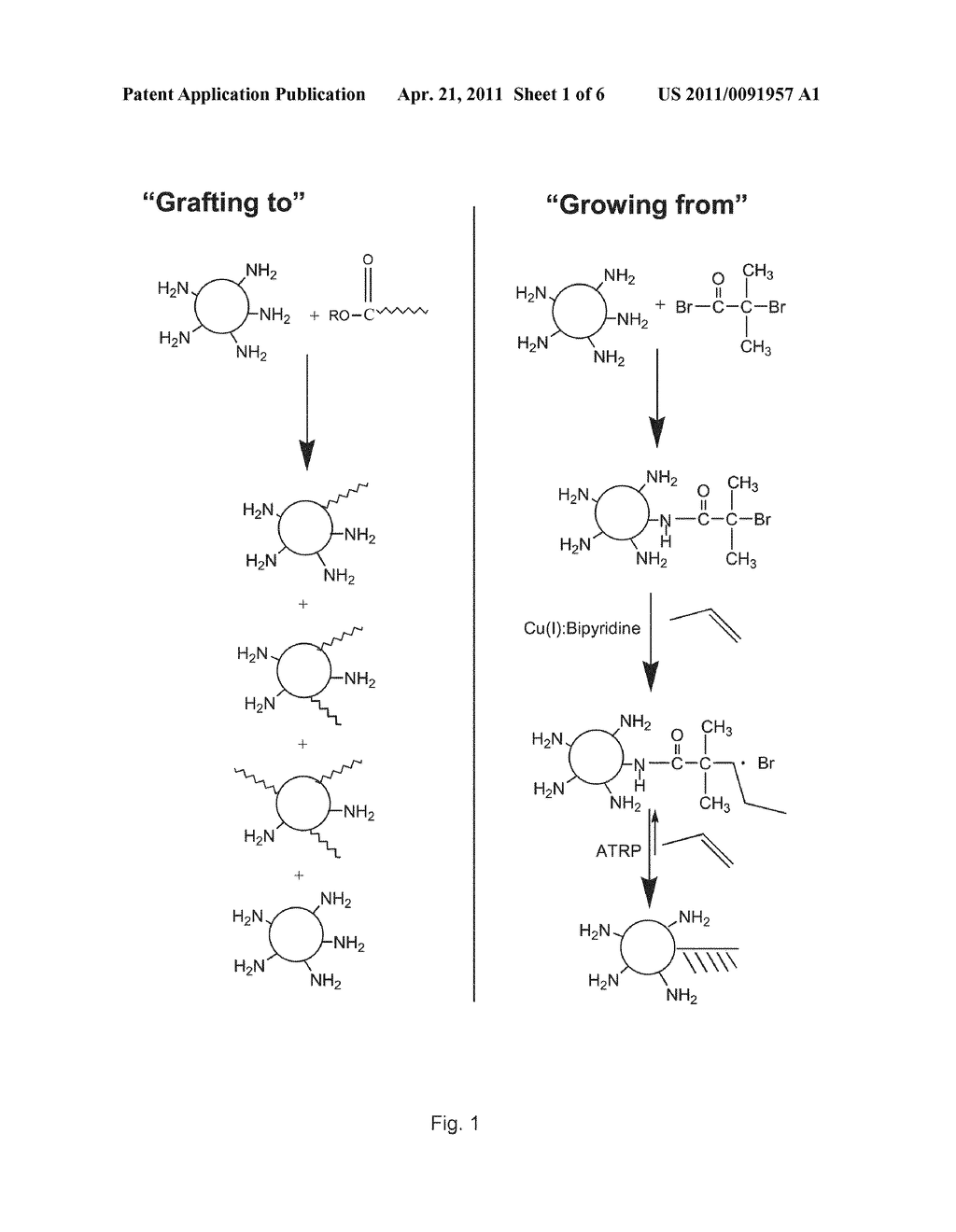 PROTEIN-POLYMER CONJUGATES AND SYNTHESIS THEREOF - diagram, schematic, and image 02