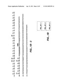 Multiply-Substituted Protease Variants diagram and image