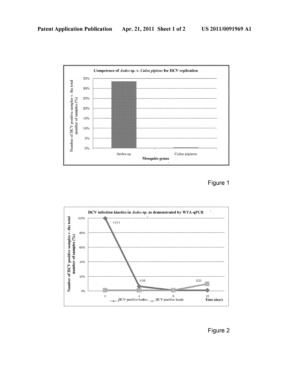 MUTATIONS IN THE NS5B PROTEIN OF THE HCV - diagram, schematic, and image 02