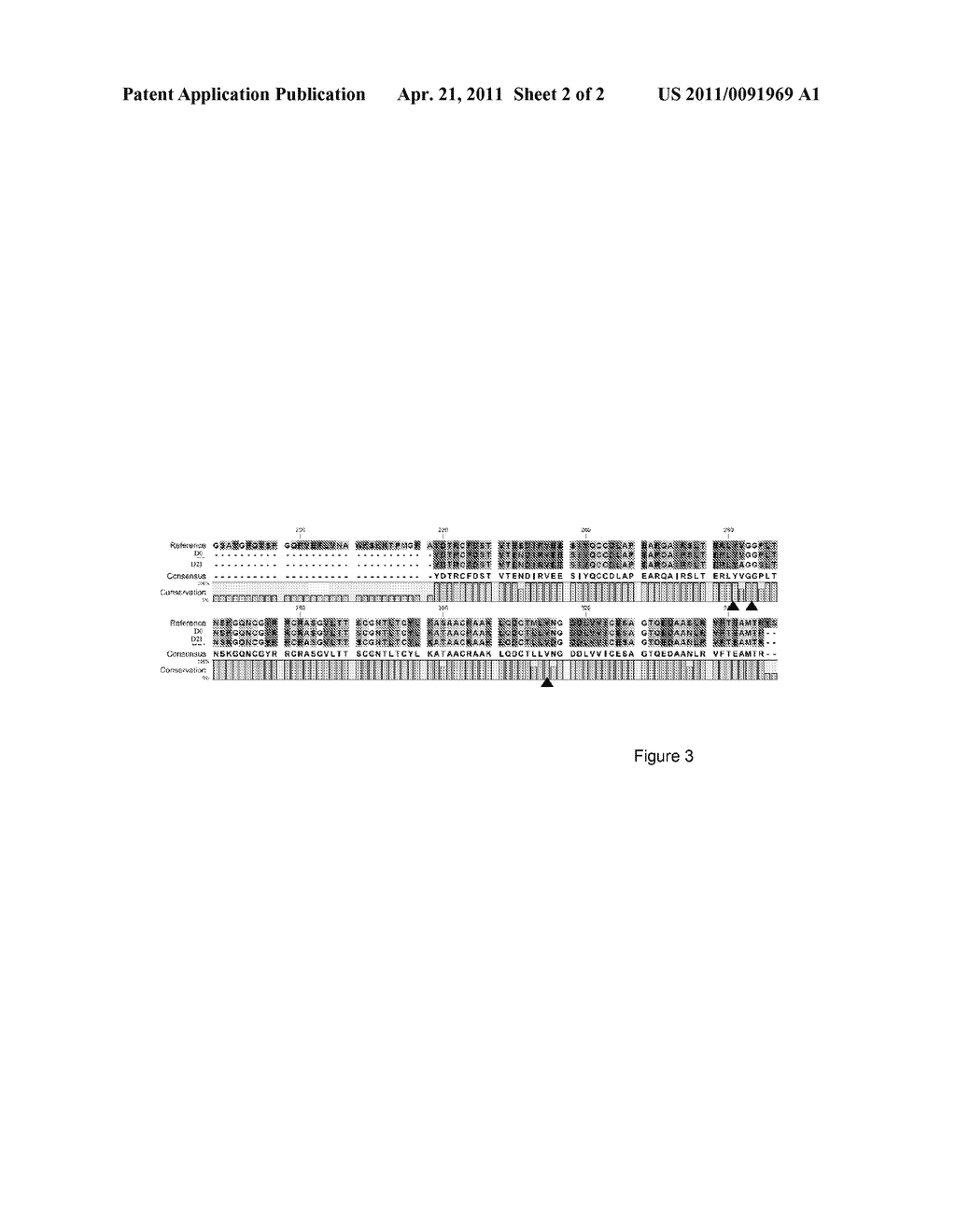 MUTATIONS IN THE NS5B PROTEIN OF THE HCV - diagram, schematic, and image 03