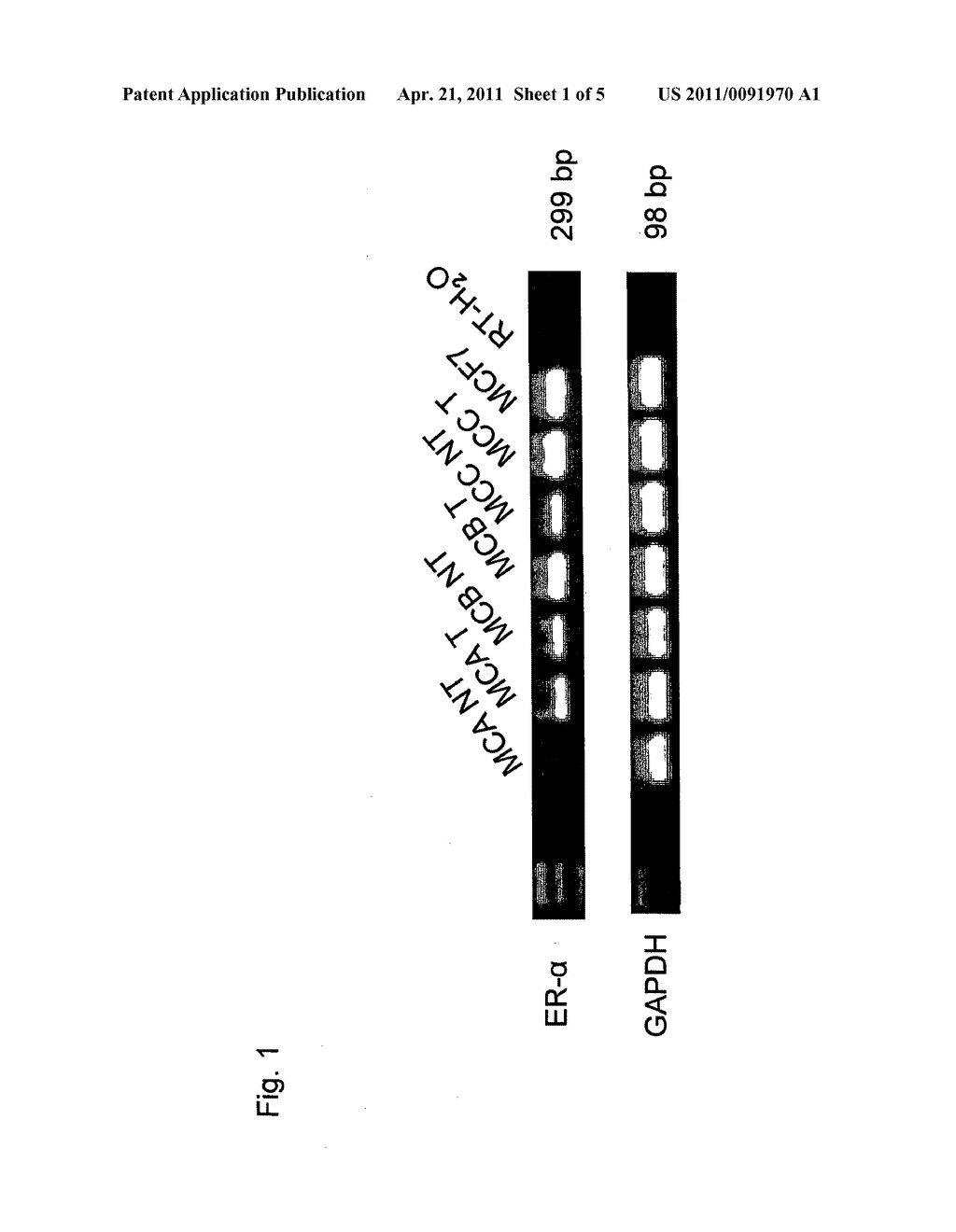 METHYLATION OF ESTROGEN RECEPTOR ALPHA AND USES THEREOF - diagram, schematic, and image 02