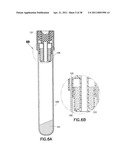 DEVICE AND METHODS FOR COLLECTION OF BIOLOGICAL FLUID SAMPLE AND TREATMENT OF SELECTED COMPONENTS diagram and image