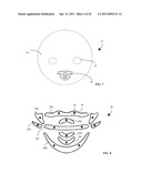 Lighted Display Devices for Producing Static or Animated Visual Displays, Including Animated Facial Features diagram and image