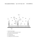 IMPROVED MOLECULAR-BIOLOGICAL PROCESSING EQUIPMENT diagram and image