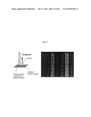 IMPROVED MOLECULAR-BIOLOGICAL PROCESSING EQUIPMENT diagram and image