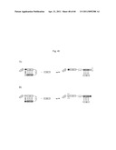 IMPROVED MOLECULAR-BIOLOGICAL PROCESSING EQUIPMENT diagram and image