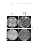 COMPOSITION FOR TREATING VIRUS INFECTION DISEASE COMPRISING JAB1 diagram and image