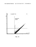 COMPOSITION FOR TREATING VIRUS INFECTION DISEASE COMPRISING JAB1 diagram and image