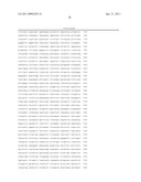 COMPOSITIONS AND METHODS FOR PRODUCING GAMMA-CARBOXYLATED PROTEINS diagram and image