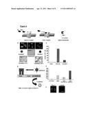 TREATMENT OF PARKINSON S DISEASE diagram and image