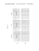 CELL-PERMEABLE ENDOSTATIN RECOMBINANT PROTEIN, A POLYNUCLEOTIDE ENCODING THE SAME, AND AN ANTI-CANCER PREPARATION CONTAINING THE SAME AS AN ACTIVE COMPONENT diagram and image