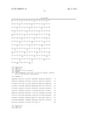 CELL-PERMEABLE ENDOSTATIN RECOMBINANT PROTEIN, A POLYNUCLEOTIDE ENCODING THE SAME, AND AN ANTI-CANCER PREPARATION CONTAINING THE SAME AS AN ACTIVE COMPONENT diagram and image